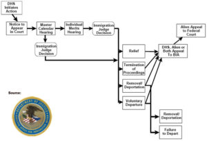 How To Understand Immigration Court Removal Proceedings